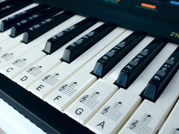 61 key full set keyboard stickers
