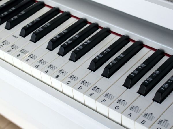 88 key full set piano stickers - Image 3