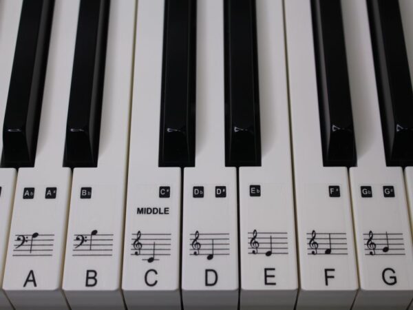 61 key keyboard stickers - Image 5