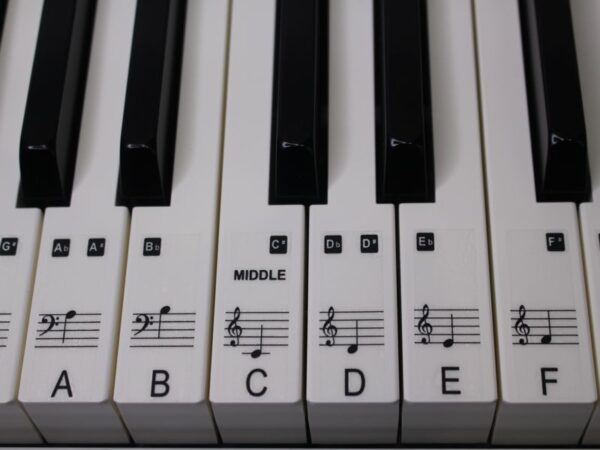 61 key keyboard stickers - Image 3
